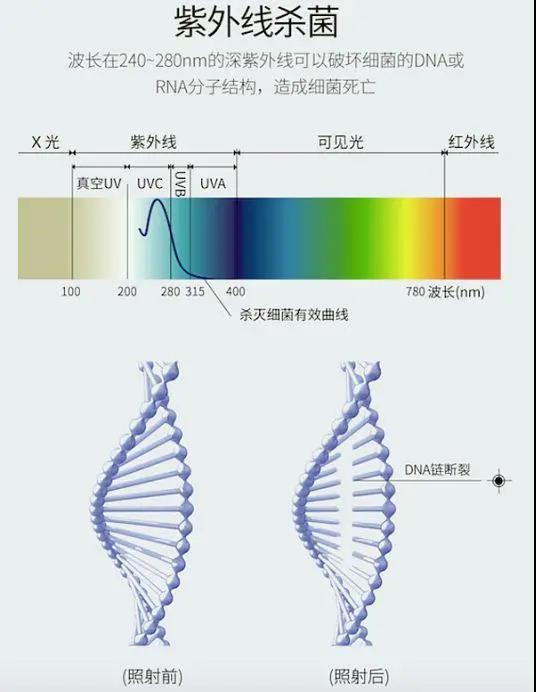 紫外線殺菌原理